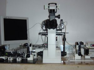 Microscopio Icsi
